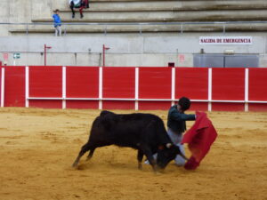 III Bolsín Taurino Ciudad de Llerena