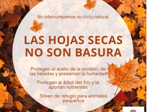 El Ayuntamiento de Llerena recuerda que las hojas secas no son basura