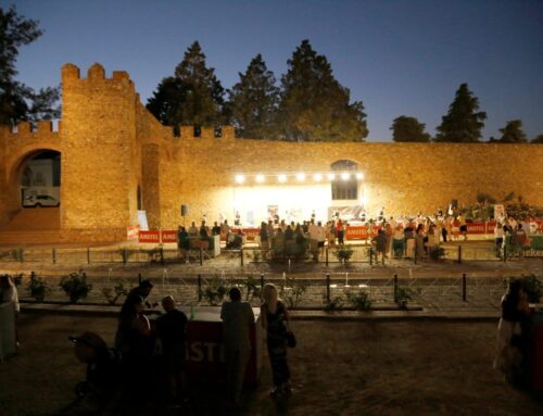 Fotogalería del Concurso de Corte Creativo de Paleta Hilario Robles Ciudad de Llerena