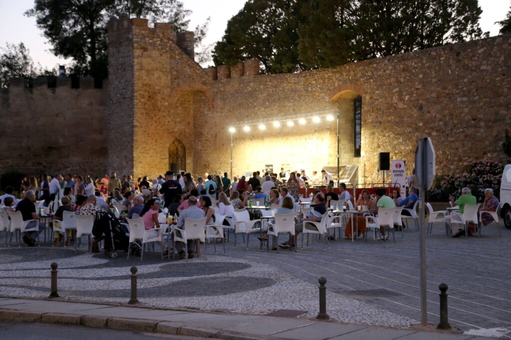 Concurso de corte creativo de paleta Hilario Robles - Ciudad de Llerena 2024