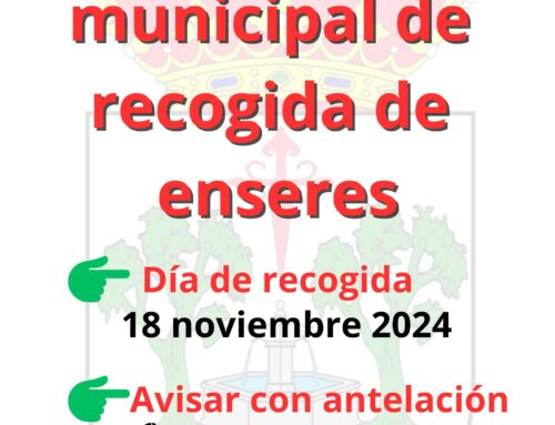 Servicio municipal en Llerena para la recogida de enseres