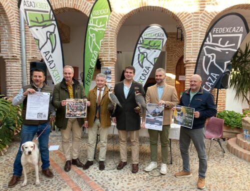 Llerena acoge el Campeonato de España de Cetrería por méritos propios