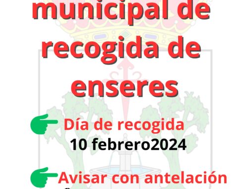 Servicio municipal en Llerena para la recogida de enseres