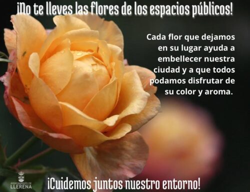 La implicación y concienciación ciudadana son  imprescindibles para mantener en floración los  espacios ajardinados públicos